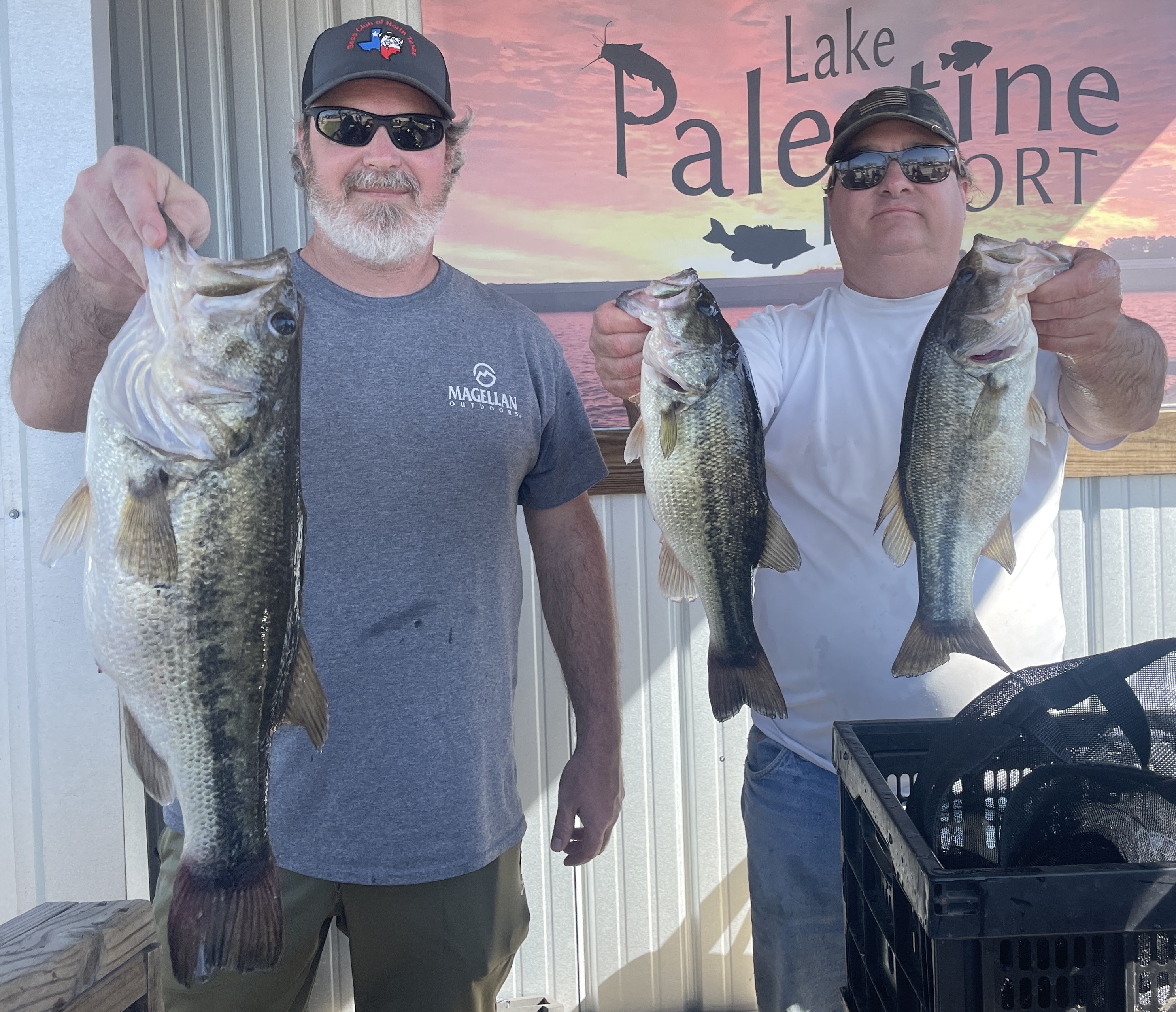 Click to see results from Lake Palestine